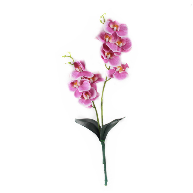 OC1901B Orchid (4)
