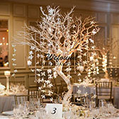 wedding centerpieces manzanita tree