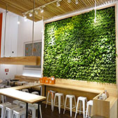 wefound artificial grass plant wall
